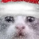 eggnog