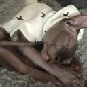 sleepseven sleepseven