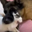 bite