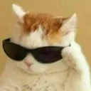 ayo