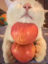 cb_double_apple_car Discord emoji