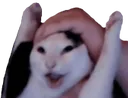wahoo