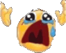 noooooooo custom emote from NitroLoot | Free Nitro Giveaways &  Community