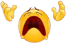 NOOO