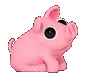 Piggy