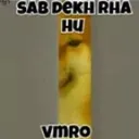 sab_dekh_raha_hun_vmro