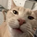 GUH