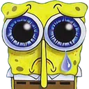 Spongesad Spongesad