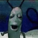 plankton plankton