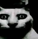 despaircat
