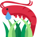 GrassAllergicShrimp GrassAllergicShrimp
