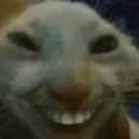 DeviousCat DeviousCat