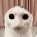 emoji_26