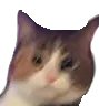 mochiblur