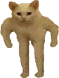 catstrong
