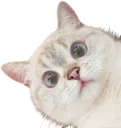 Nana_Stare
