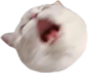 Nana_AAA