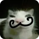gatoimporstor