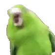 wobblebird