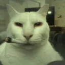 nohorrorweed nohorrorweed
