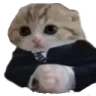 Baseg