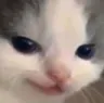Evilig