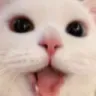 Happig
