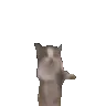 bouncig