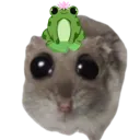 frogge