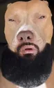 Rizz2