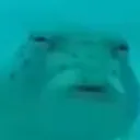 __ __