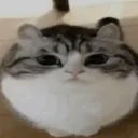 emoji_58