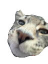 fork Discord emoji