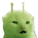 glorpYapp