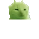 glorpBounce glorpBounce