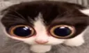 MONKA