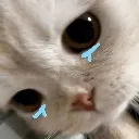 emoji_25 emoji_25