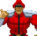 bison