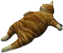 macncheddy macncheddy