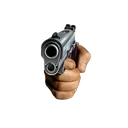 Gun