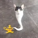 catgenie