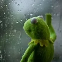 sadkermit