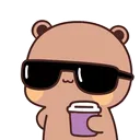 bear