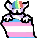 TransFlag TransFlag