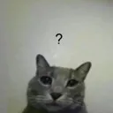 what