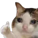 catthumb4sad