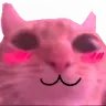 flushedcat