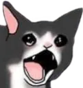 catscrem
