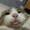 blehehe