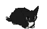 Catwell